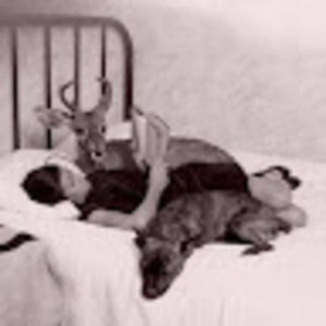 Meet your Posher, Iris